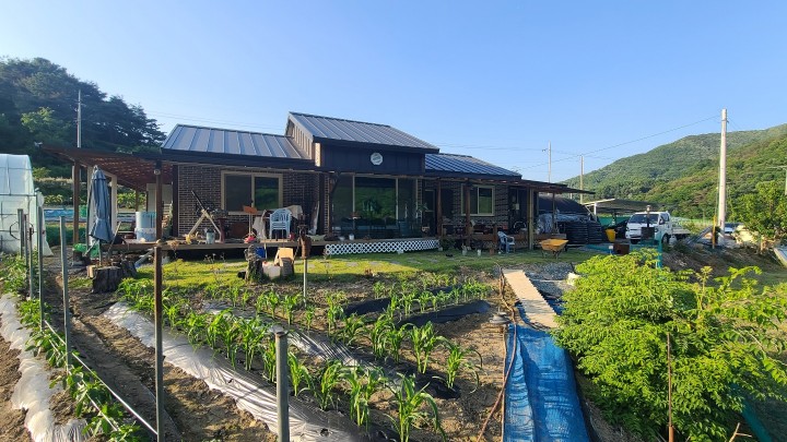 단독