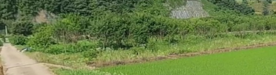 토지/임야 - 답