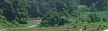 토지/임야 - 전