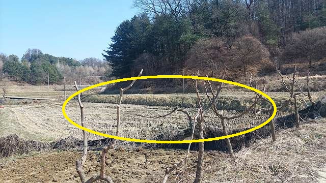 토지/임야 - 답